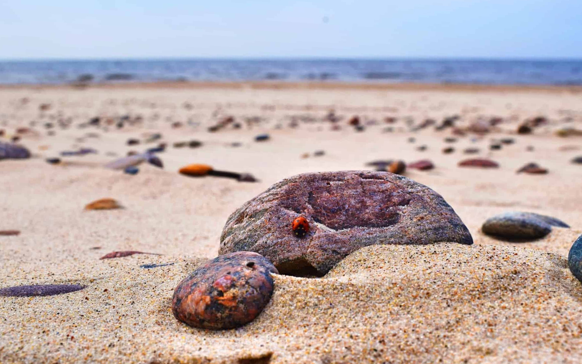 History of the Baltic Amber Necklace - Baltic Proud